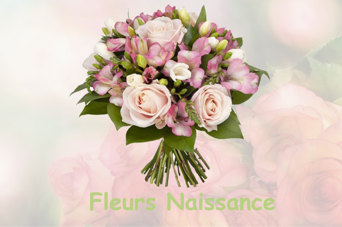 fleurs naissance BEAUVILLE