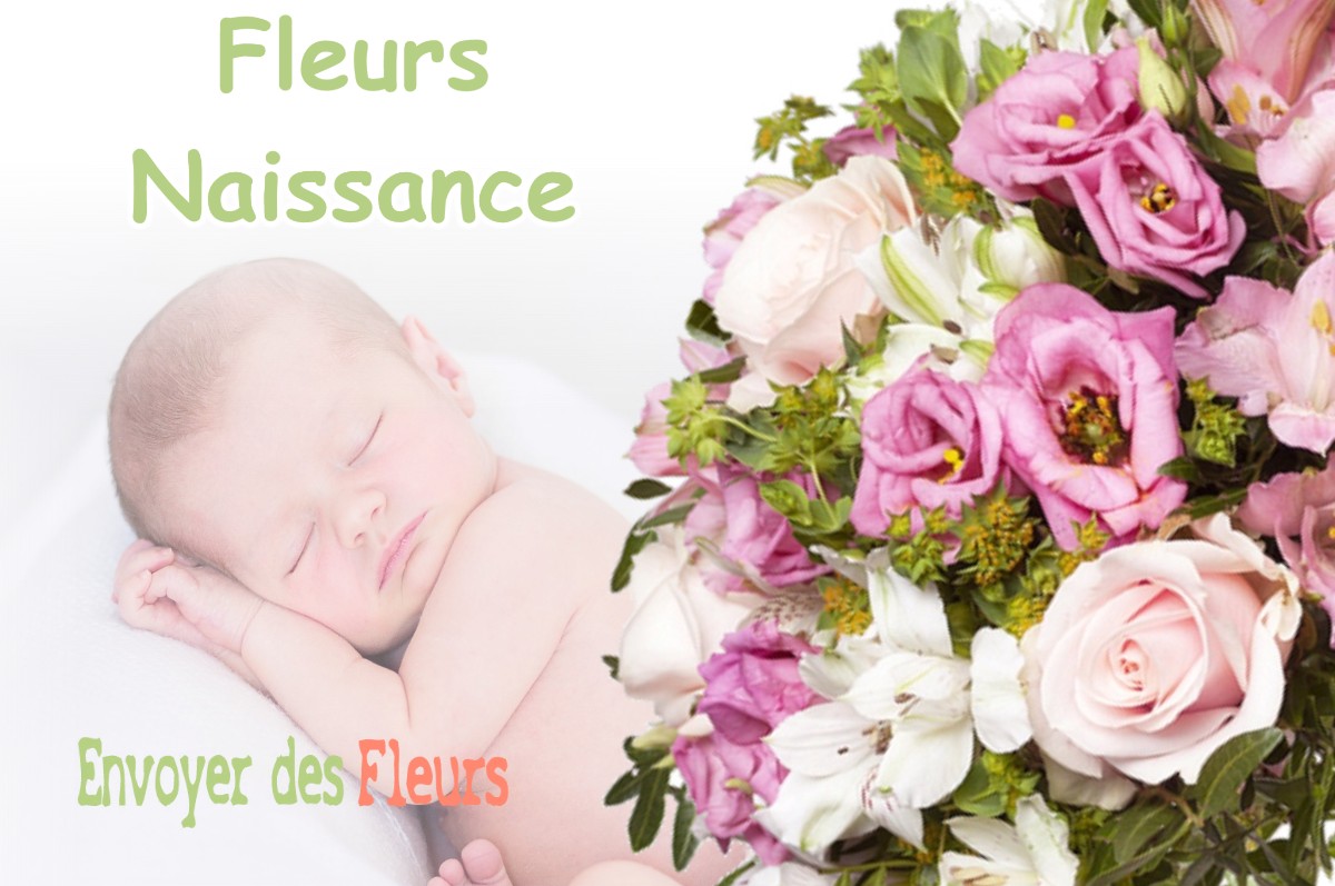 lIVRAISON FLEURS NAISSANCE à BEAUVILLE